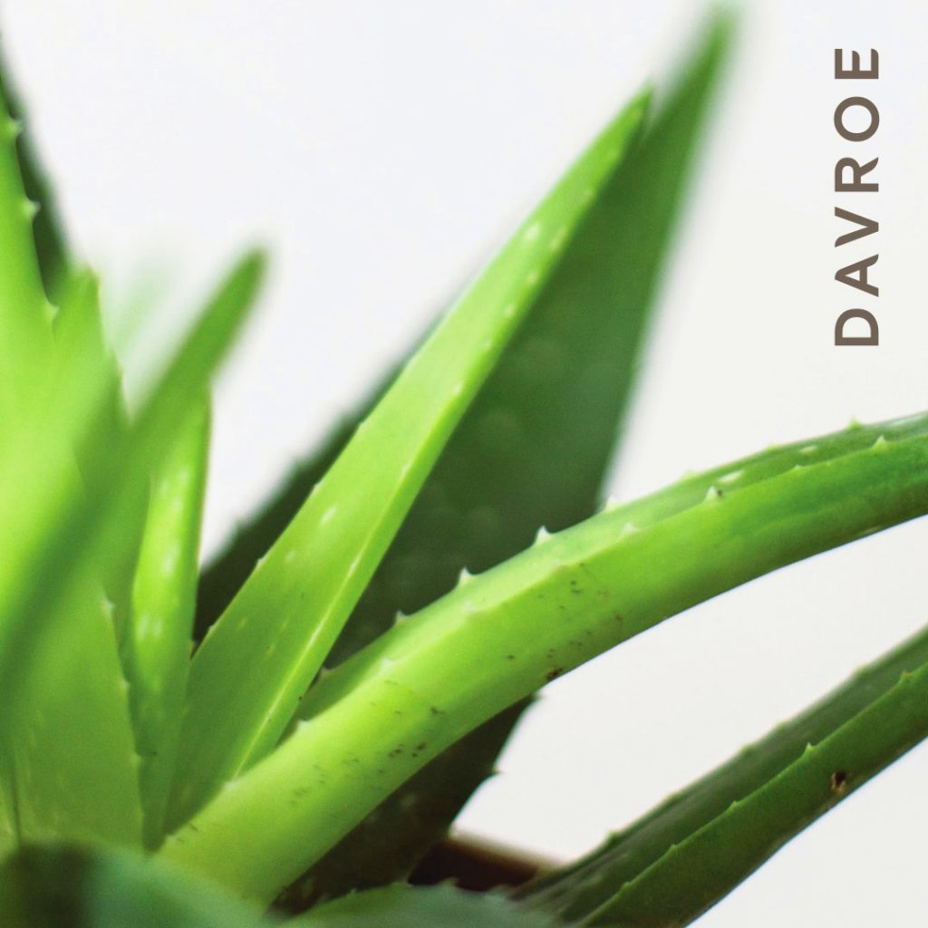 The secret to our Scalp Remedy's effectiveness lies in the power of Aloe Vera, our key active ingredient. Aloe Vera actively moisturizes the hair cuticle from the inside out, putting an end to scalp flakiness for good.