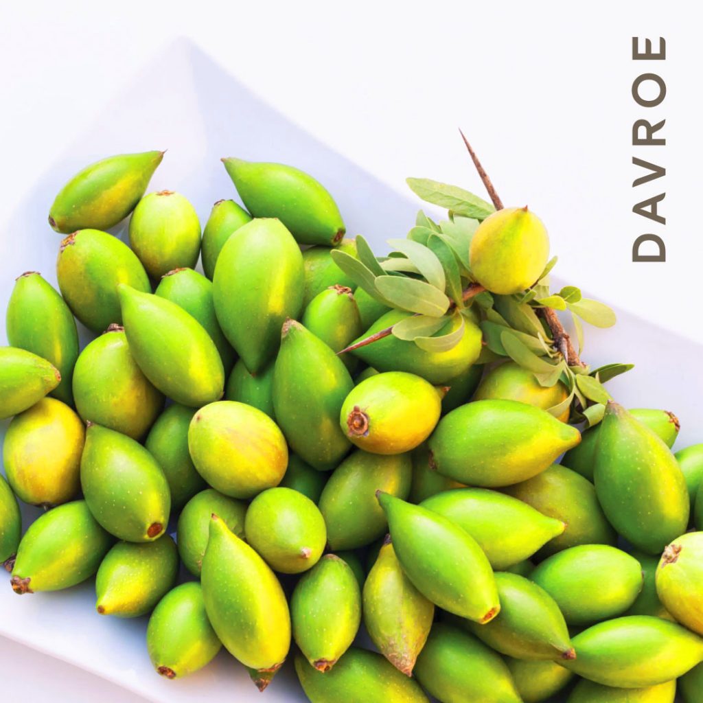 Once you make the switch to using DAVROE plant-based and Vegan hair products, you are ensuring your hair has maximum moisture penetration and can reap the benefits of all the antioxidant-packed ingredients you're feeding it.