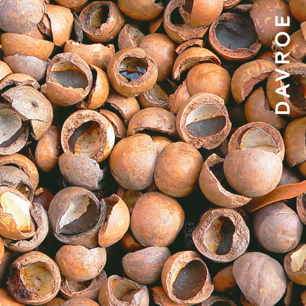 DAVROE-Ingredient-Natures-Active-macadamia